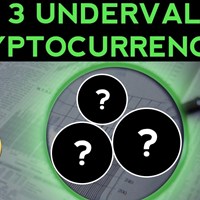 Портфолио Danielle Boyd